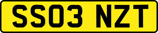 SS03NZT