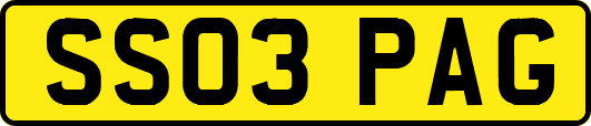 SS03PAG
