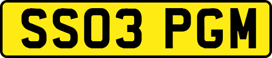 SS03PGM