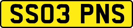 SS03PNS