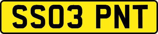 SS03PNT