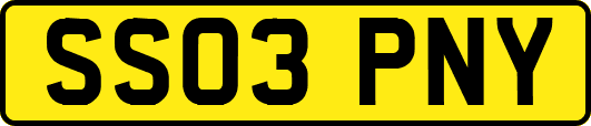 SS03PNY