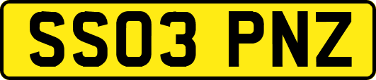 SS03PNZ