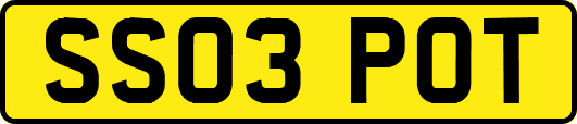SS03POT
