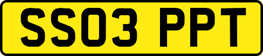 SS03PPT