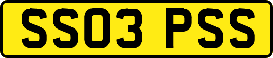 SS03PSS