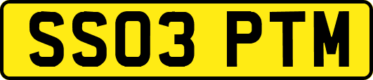 SS03PTM