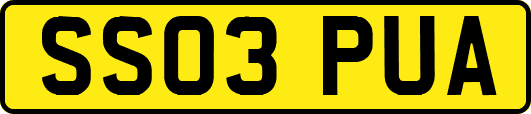 SS03PUA