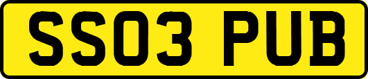 SS03PUB