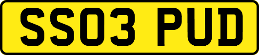 SS03PUD
