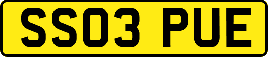 SS03PUE
