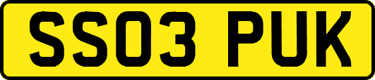 SS03PUK