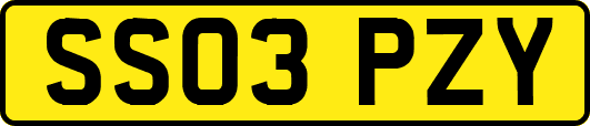 SS03PZY