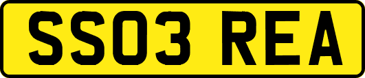 SS03REA