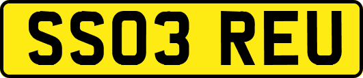 SS03REU