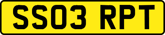 SS03RPT
