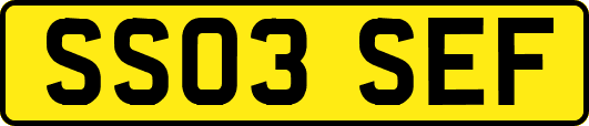 SS03SEF