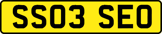 SS03SEO