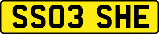 SS03SHE