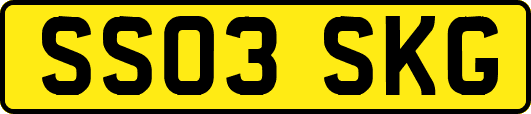 SS03SKG