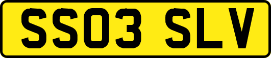 SS03SLV