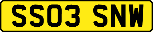SS03SNW