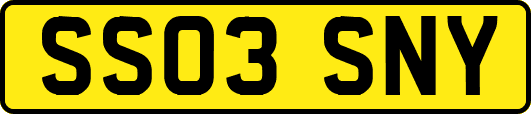 SS03SNY