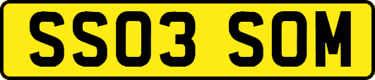 SS03SOM
