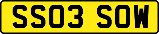 SS03SOW