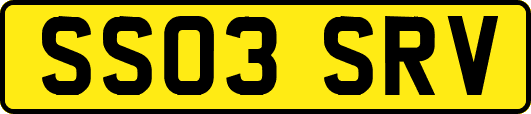 SS03SRV