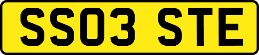 SS03STE