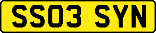 SS03SYN