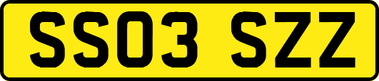 SS03SZZ