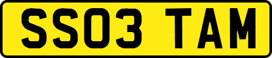 SS03TAM