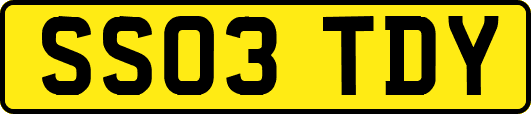 SS03TDY