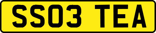 SS03TEA