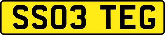 SS03TEG
