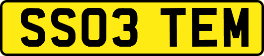 SS03TEM