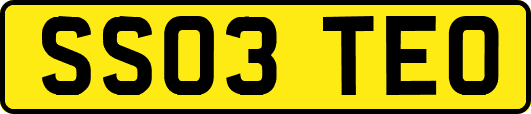SS03TEO
