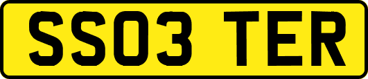 SS03TER