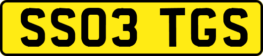 SS03TGS