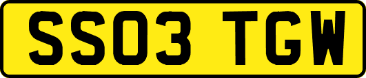 SS03TGW