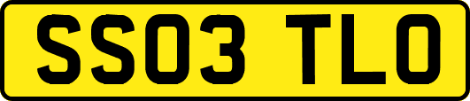 SS03TLO