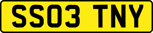 SS03TNY