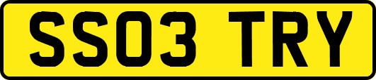 SS03TRY