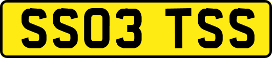 SS03TSS