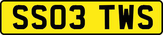 SS03TWS
