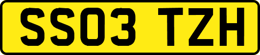 SS03TZH
