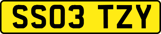 SS03TZY