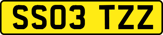 SS03TZZ